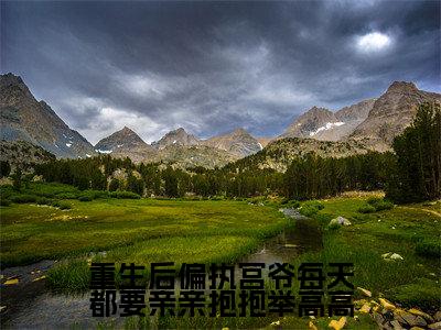 重生后偏执宫爷每天都要亲亲抱抱举高高全文（宫夜寒南欢）全文免费阅读无弹窗大结局_（宫夜寒南欢）重生后偏执宫爷每天都要亲亲抱抱举高高最新章节列表