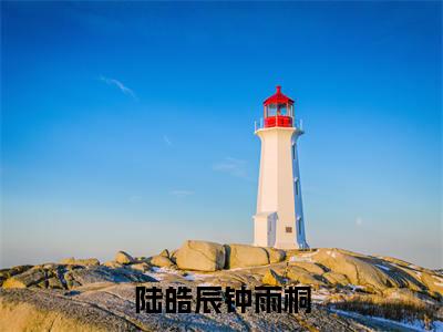 陆皓辰钟雨桐全文（钟雨桐陆皓辰）全文免费阅读无弹窗大结局_钟雨桐陆皓辰最新章节列表_笔趣阁（陆皓辰钟雨桐）
