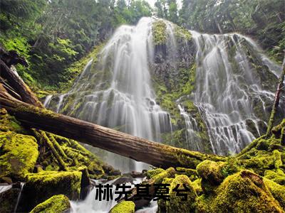 林先其莫兮小说:（林先其莫兮）全文免费阅读无弹窗大结局_莫兮林先其小说:林先其莫兮最新章节列表