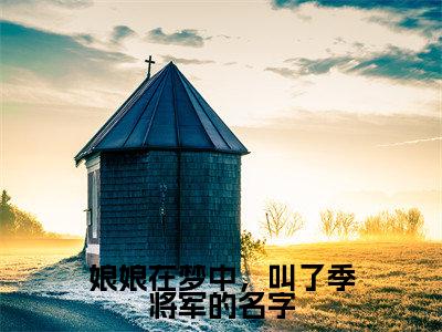 娘娘在梦中，叫了季将军的名字（季惟金晴陌）全文完整版免费阅读_季惟金晴陌（娘娘在梦中，叫了季将军的名字全文免费阅读）最新章节列表