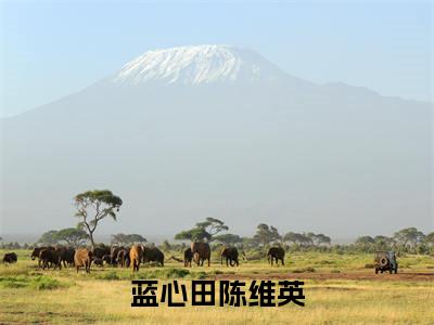 蓝心田陈维英（蓝心田陈维英）小说免费无弹窗大结局-蓝心田陈维英小说全文完整版阅读