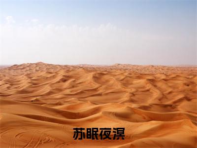 苏眠夜溟（夜溟苏眠）全文免费阅读无弹窗大结局_苏眠夜溟最新章节列表（夜溟苏眠）