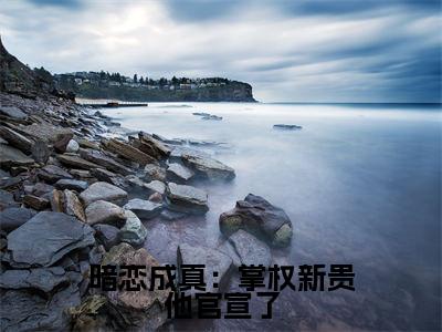 暗恋成真：掌权新贵他官宣了小说最新试读_陆斯宸苏蕴小说名是（暗恋成真：掌权新贵他官宣了）_笔趣阁