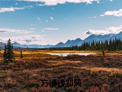 祁风方清浅（方清浅祁风）全文免费阅读无弹窗大结局_方清浅祁风完整版小说阅读（祁风方清浅）