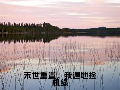 宋昭小说全文免费阅读-末世重置，我遍地捡机缘最新章节列表免费阅读