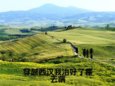 《霍去病息禾》穿越西汉我治好了霍去病（热推新书）-抖音热推穿越西汉我治好了霍去病无弹窗阅读