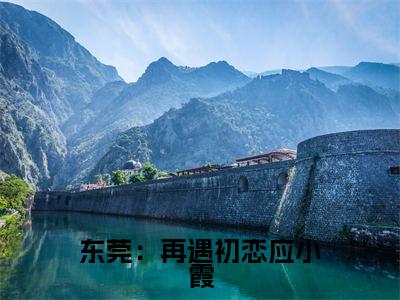 应小霞肖凡（东莞：再遇初恋应小霞）全文免费阅读_（东莞：再遇初恋应小霞）应小霞肖凡最新章节小说免费阅读_笔趣阁