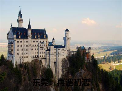 东莞：再遇初恋小说全文免费阅读_东莞：再遇初恋（肖凡刘开义）最新章节列表在线阅读