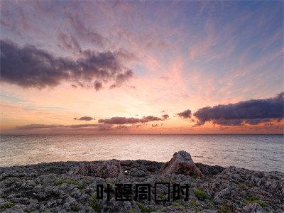 周璟时叶醒完整版（叶醒周璟时小说）全文免费阅读无弹窗大结局_叶醒周璟时最新章节