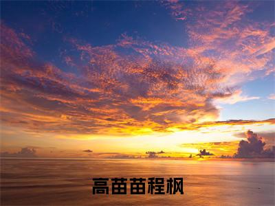 程枫高苗苗（高苗苗程枫）全文免费阅读无弹窗_高苗苗程枫最新小说