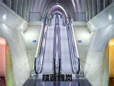 楼晋魏岚小说全文（魏岚楼晋）精选免费小说_楼晋魏岚小说全文最新章节列表