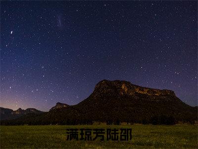 满琼芳陆邵全文免费阅读无弹窗大结局-陆邵满琼芳无弹窗阅读