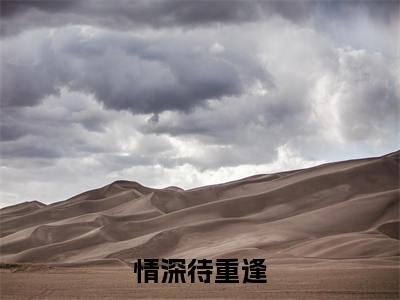情深待重逢（顾沉舟苏语）小说全文免费阅读无弹窗大结局_（情深待重逢全文免费阅读）顾沉舟苏语最新章节列表
