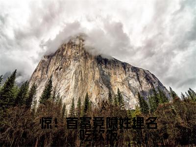 惊！首富竟隐姓埋名吃软饭精彩小说赏析全文林冉傅时煜热门小说免费阅读