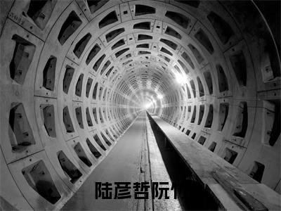 陆彦哲阮竹（阮竹陆彦哲）小说全文免费阅读无弹窗大结局_陆彦哲阮竹小说免费阅读最新章节列表笔趣阁（阮竹陆彦哲）