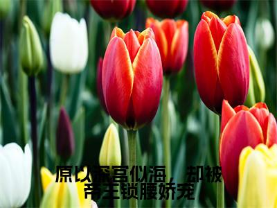 原以深宫似海，却被帝王锁腰娇宠（陆芷鸢沈君樾）最新章节阅读-热点小说榜单推荐陆芷鸢沈君樾