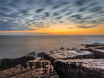鬼手医妃：病娇邪王太粘人（云苏君长渊）全文免费阅读无弹窗大结局_（鬼手医妃：病娇邪王太粘人）云苏君长渊全文免费完结版阅读