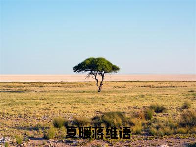 蒋维语夏暖（夏暖蒋维语最新全章节大结局）全文阅读