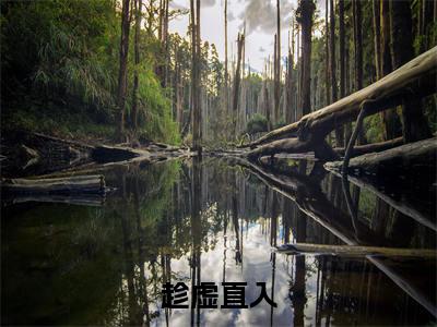 简行冯曳小说趁虚直入完整版大结局-简行冯曳小说完结版在线阅读