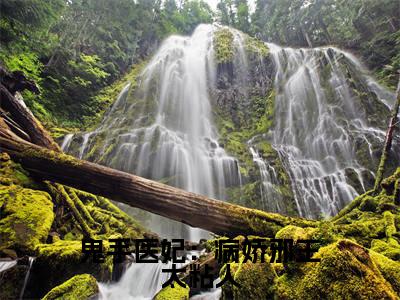 鬼手医妃：病娇邪王太粘人小说（君长渊云苏）全文免费阅读无弹窗大结局_鬼手医妃：病娇邪王太粘人最新章节列表_笔趣阁