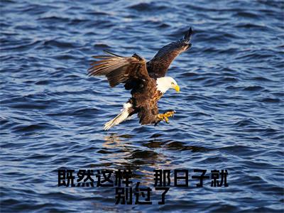 周景琛季棠全文免费阅读-全网首发小说既然这样，那日子就别过了