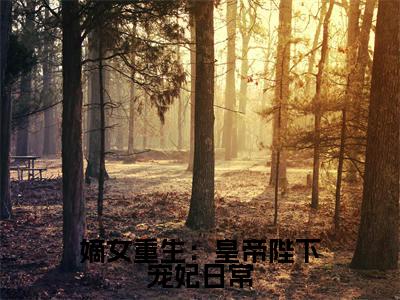 苏宁安沈言酌的小说免费阅读（嫡女重生：皇帝陛下宠妃日常的小说免费阅读）全文完整版免费阅读