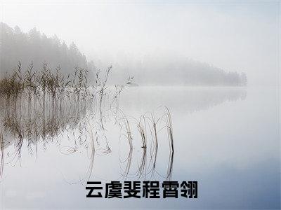 《云虞斐程霄翎》主角是程霄翎云虞斐全文免费阅读已完结