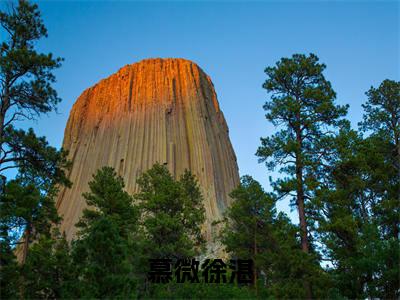 慕微徐湛小说免费（慕微徐湛免费阅读）慕微徐湛全文免费阅读无弹窗大结局_慕微徐湛小说最新章节列表