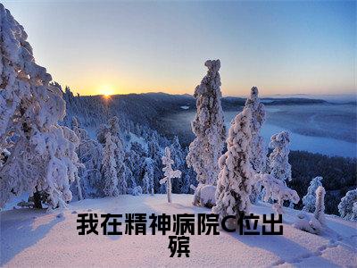 我在精神病院C位出殡（沈愿）全文免费阅读无弹窗大结局_（我在精神病院C位出殡免费阅读全文大结局）最新章节列表