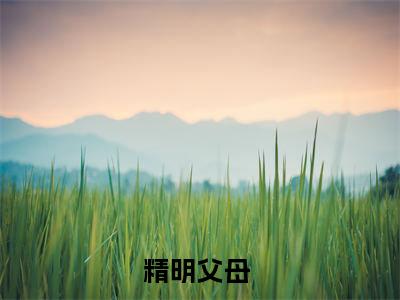 精明父母 小说（方宏浚方平安）精彩章节-方宏浚方平安全文免费在线阅读