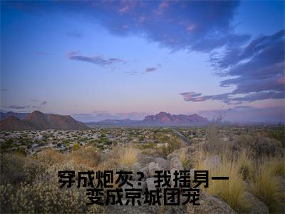 穿成炮灰？我摇身一变成京城团宠全文免费在线阅读_赵乐潼萧元奕全文免费阅读无弹窗大结局