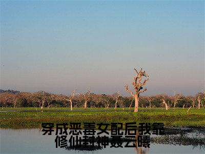（穿成恶毒女配后我靠修仙封神聂云曦抖音小说）聂云曦小说全文阅读免费