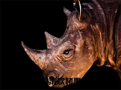 时清欢楮墨（时清欢楮墨）全文免费阅读无弹窗大结局_时清欢楮墨全文大结局最新章节列表_笔趣阁