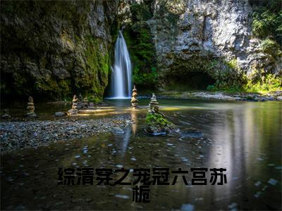 综清穿之宠冠六宫苏栀（苏栀小说）全文免费阅读无弹窗大结局_综清穿之宠冠六宫苏栀全文免费阅读_笔趣阁