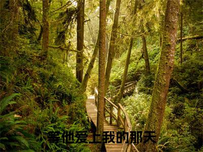 等他爱上我的那天（顾泽言季鸢）全文免费阅读_等他爱上我的那天（顾泽言季鸢）最新章节小说免费阅读