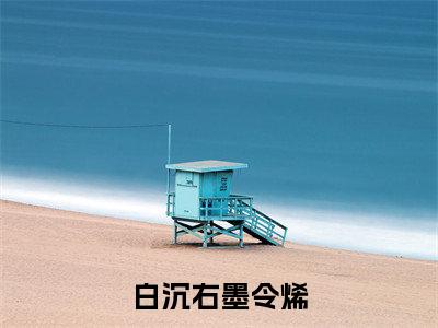 白沉右墨令烯（墨令烯白沉右）小说全文免费阅读无弹窗大结局_（白沉右墨令烯全文免费阅读）墨令烯白沉右最新章节列表