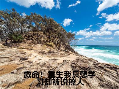 祁连夏梦小说全文免费阅读大结局-救命！重生我只想学习却被说撩人最新章节列表免费阅读