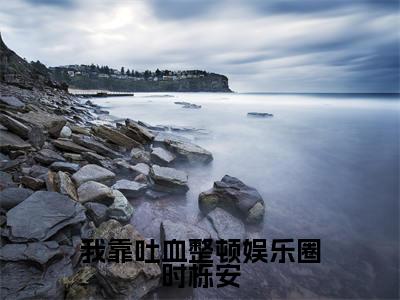 （时栎安）是什么小说-（我靠吐血整顿娱乐圈时栎安）全文免费阅读无弹窗大结局（时栎安）最新章节列表
