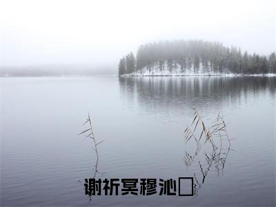穆沁嬅谢祈冥（谢祈冥穆沁嬅）小说全文无删减-穆沁嬅谢祈冥小说免费阅读大结局