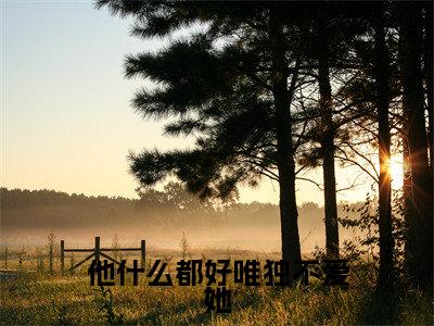 他什么都好唯独不爱她（宁微霍逢安）全文免费阅读无弹窗大结局_他什么都好唯独不爱她小说全文免费阅读最新章节列表（宁微霍逢安）