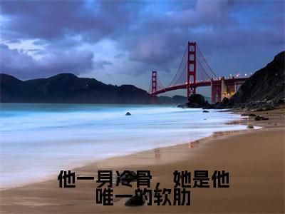 他一身冷骨，她是他唯一的软肋（苏墨言周笙）爽文小说全文阅读-他一身冷骨，她是他唯一的软肋最新章节更新
