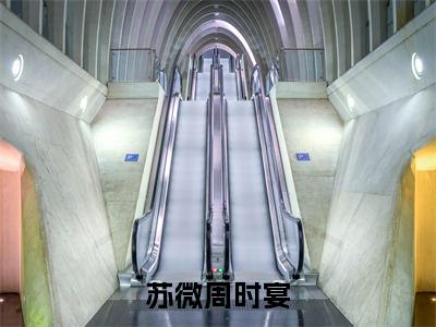 周时宴苏微（苏微周时宴）最新章节在线阅读抖音新书热荐苏微周时宴