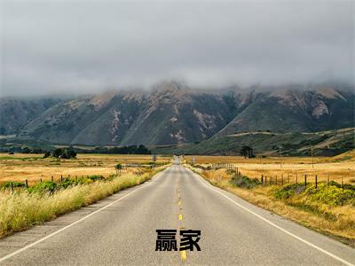 林青（赢家小说）全文免费阅读无弹窗大结局_赢家小说最新章节列表