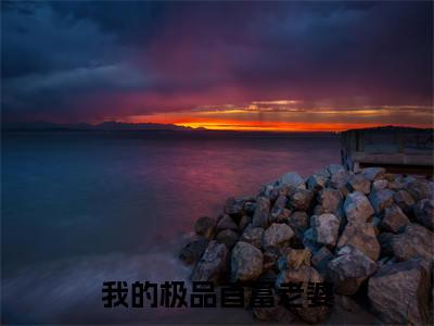 （热推新书）美文摘抄（我的极品首富老婆）主人公为（罗修）的小说我的极品首富老婆大结局全文免费阅读_笔趣阁