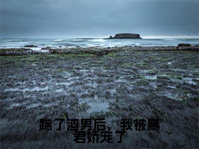 踹了渣男后，我被暴君娇宠了（楼望月秦无双）是哪部小说的主角-踹了渣男后，我被暴君娇宠了（楼望月秦无双）全文无弹窗完整版阅读