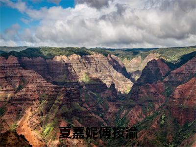 小说（夏嘉妮傅按渝）傅按渝夏嘉妮全文阅读-夏嘉妮傅按渝（傅按渝夏嘉妮）老书虫书荒推荐热点小说