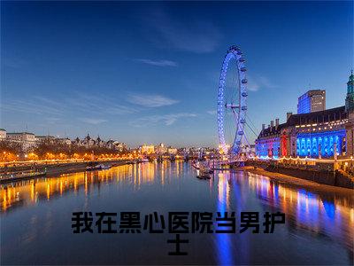 我在黑心医院当男护士（陈佳佳）小说全文免费阅读无弹窗大结局_（陈佳佳）我在黑心医院当男护士最新章节列表