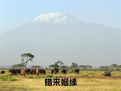 程明栀秦瑾耀（错来姻缘）精选小说大结局阅读-抖音新书热荐程明栀秦瑾耀