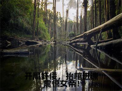 开局奸佞，抬棺进谏震惊女帝！（曹琰）全文免费阅读无弹窗大结局_（开局奸佞，抬棺进谏震惊女帝！）最新章节列表_曹琰