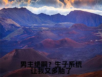 （男主绝嗣？生子系统让我又多胎了）叶婉欣小说小说全文免费叶婉欣读最新章节列表笔趣阁（男主绝嗣？生子系统让我又多胎了）